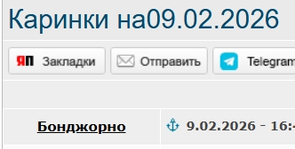 Каринки на 09.02.26