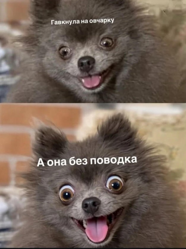 Картиночки, баянчики 09 июня