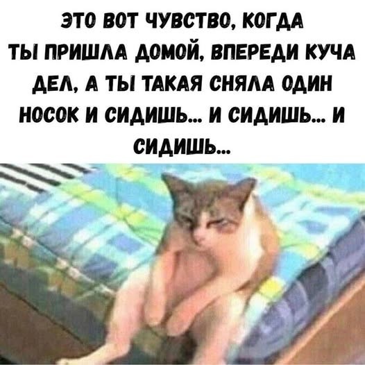 Картинки для деградации 224 (разной степени свежести)