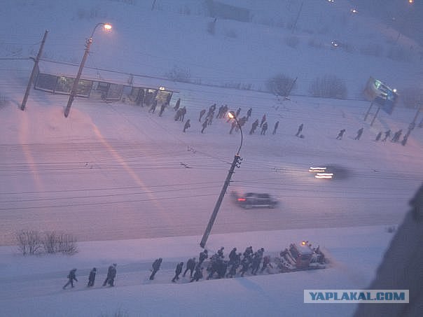 Среди бескрайних сугробов