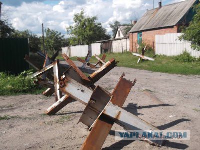 Аисты в Семеновке. Хороший знак