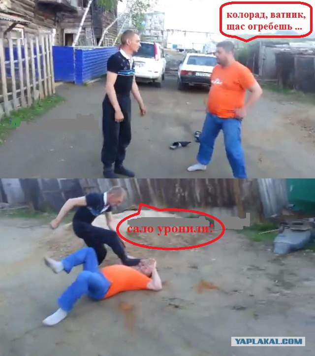 Дворовое кунг-фу