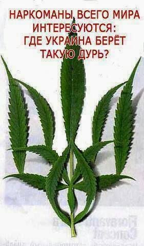 История Украины