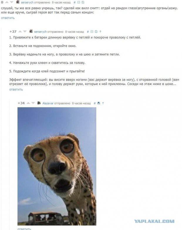 Подборка весёлых картинок