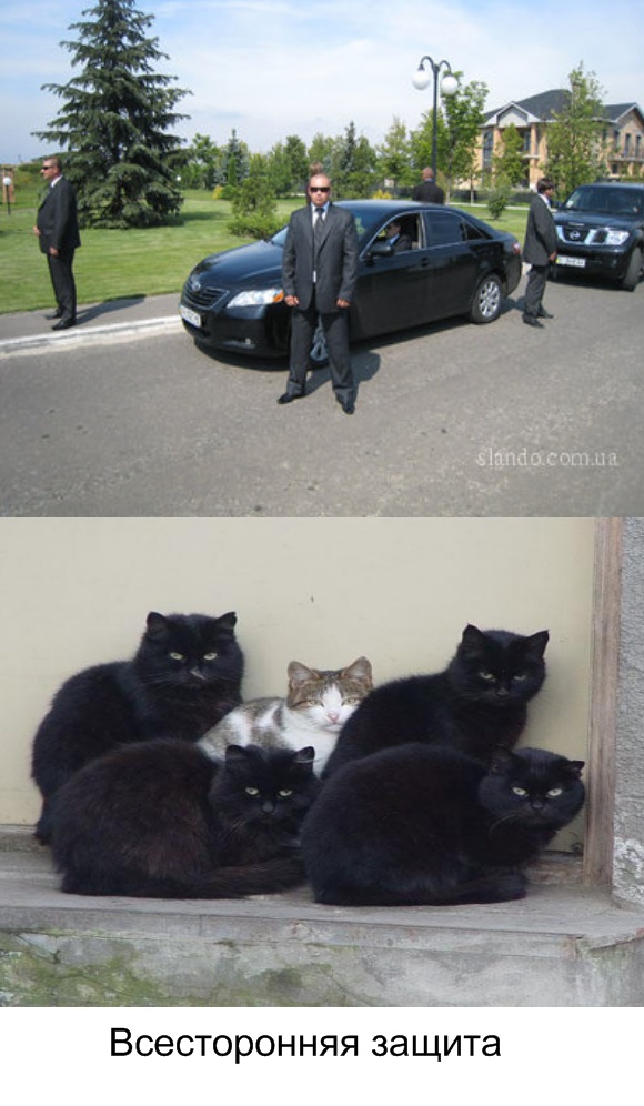 А когда-то это было нормой