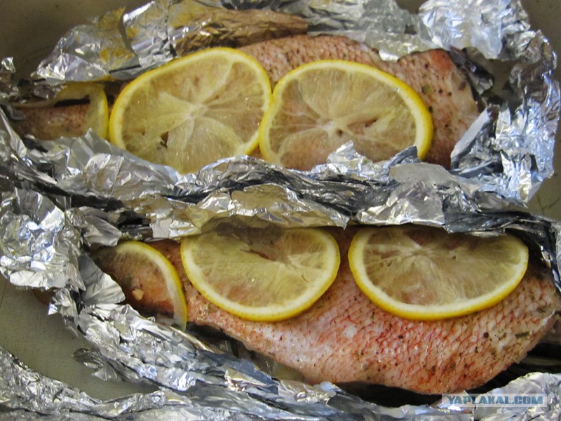 Окунь в духовке в фольге. Приготовить окуней в фольге. Окунь запеченный в духовке. Окунь морской запеченный в духовке в фольге. Окунь речной в фольге.