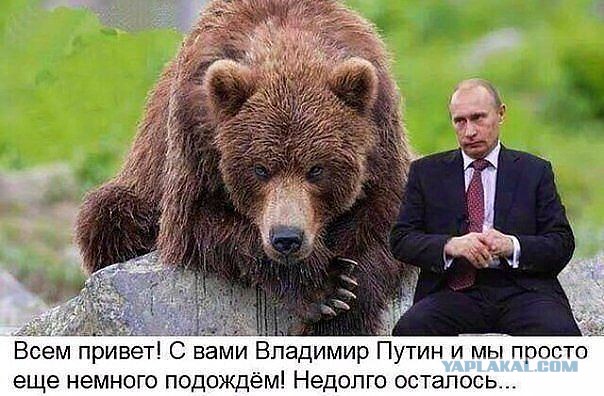 Подборка картинок на понедельник.