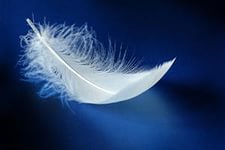 15 самых жестоких пыток