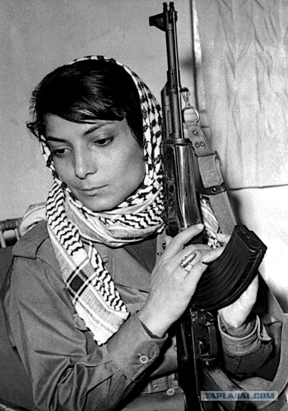 Аль-Джазира как она есть! :)