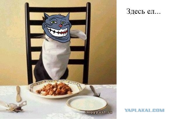 Вот кто хозяин жизни!