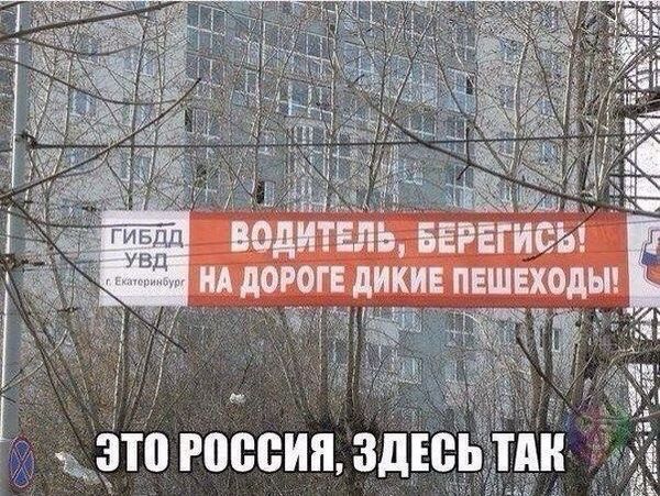 Картинки разные