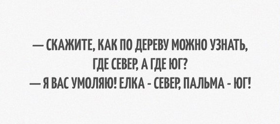 Забавные картинки из Сети