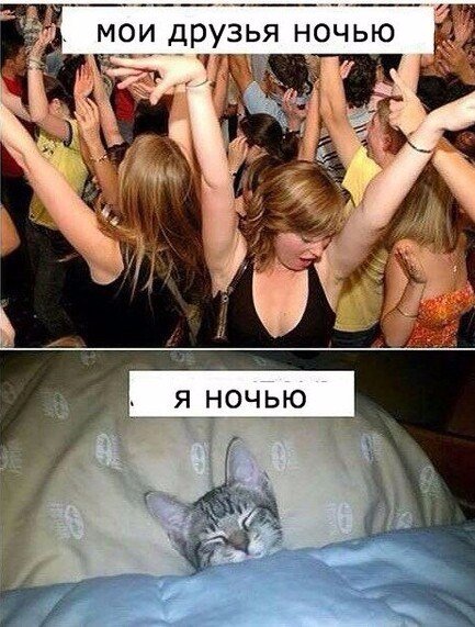 Весёлости в картинках