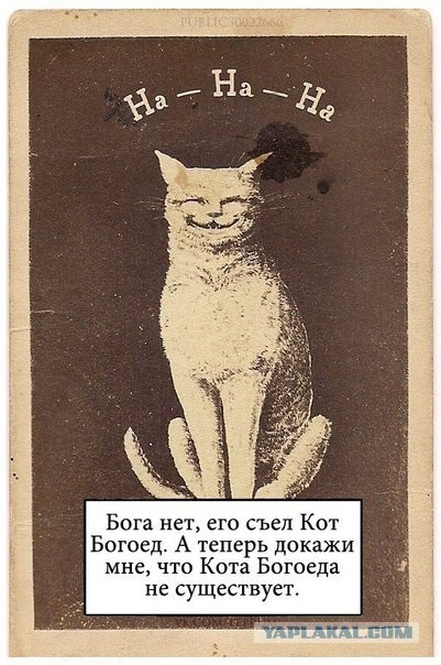 Как отвечать на аргументы воинствующих верующих