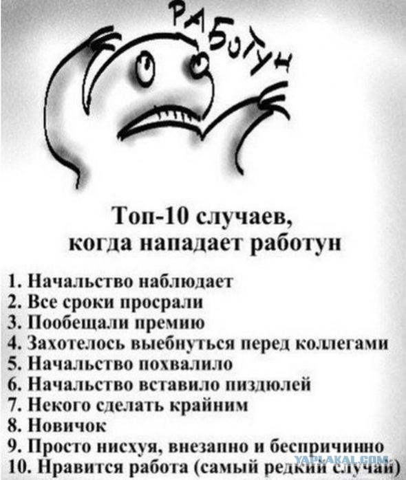 Рабочий распорядок дня