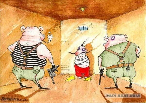 Скачи Сеня, Скачи