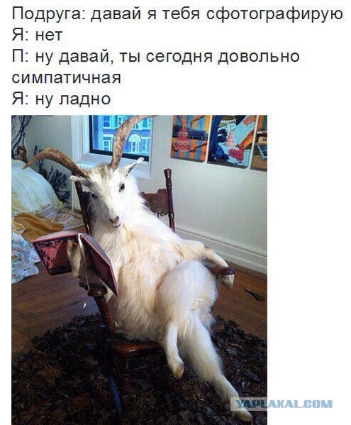 Разные картинки из сети