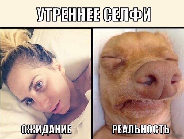 Ужасы и приколы из соцсетей 18+