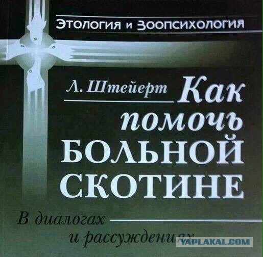 Смешные комментарии из социальных сетей.