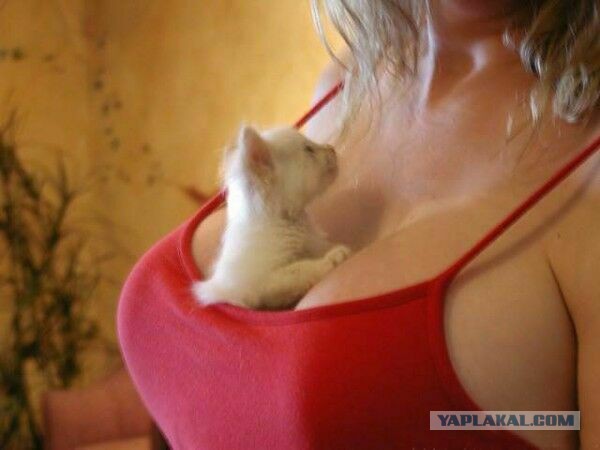 Настоящее предназначение капюшона