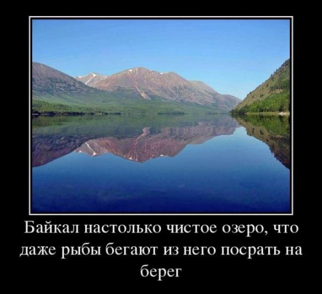 Веселые картинки