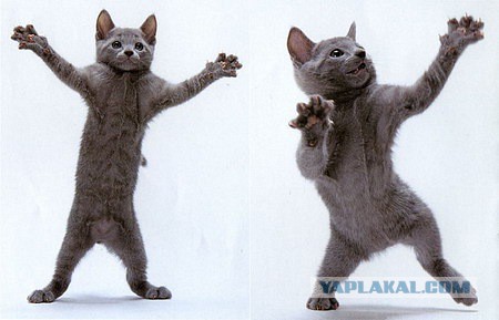 Страна победившего Социализма