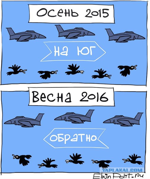 Зачем Володька сбрил усы? ( сарказм от Щаранского)