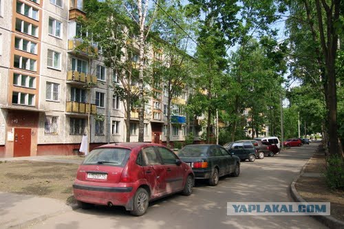 СтопХамСПб - Схватили за задницу