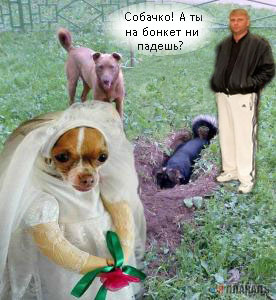 Фотожаба: да здесь где-то недалеко!