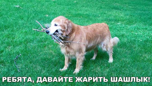 Ассорти картинок из сети