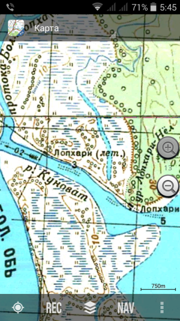 Заблудились в лесу? Главное не паникуйте