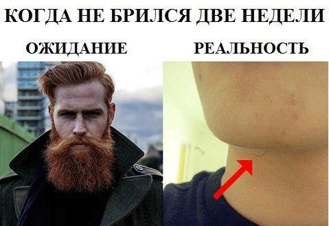Абсурд зашкаливает