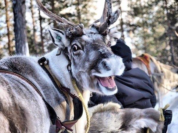 Когда просят сделать непринужденную позу на фото