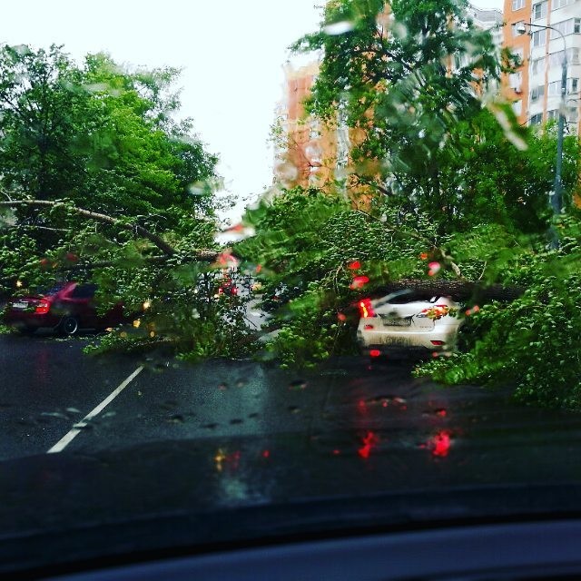 В Москве ураган!