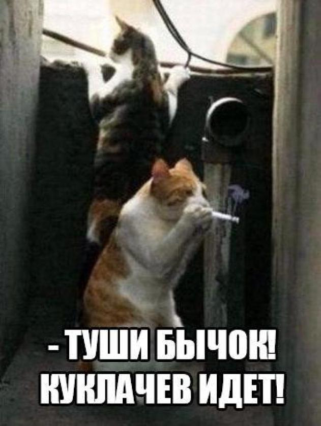 Просто юмор 16