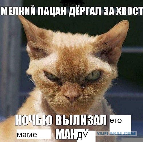 Авторский и не совсем адекватный юмор в картинках