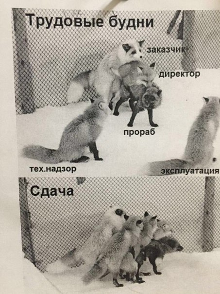 Просто юмор #27