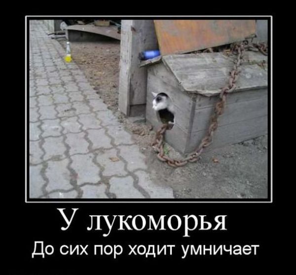 Почему бы не подеградировать, коллеги?