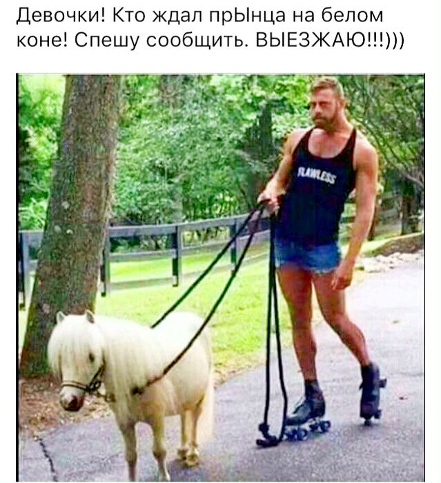 Просто юмор №28