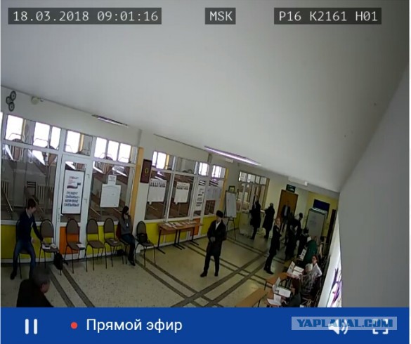 Видеотрансляция выборов 2018