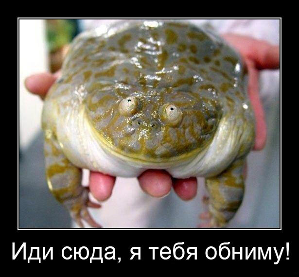 Худший женский стереотип о мужчинах
