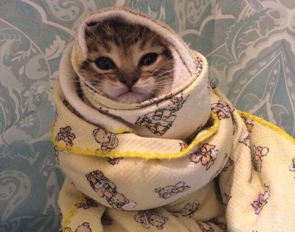 Немного милоты