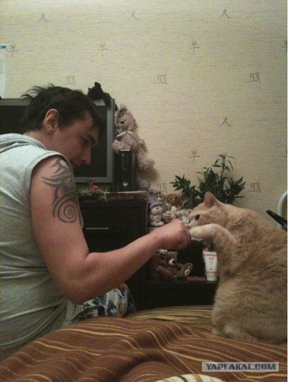 Котовторник (15.05.2012)