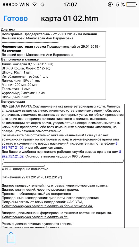 Тема про несчастного кота, в которой всем хорошим людям автор показывает сиськи!2