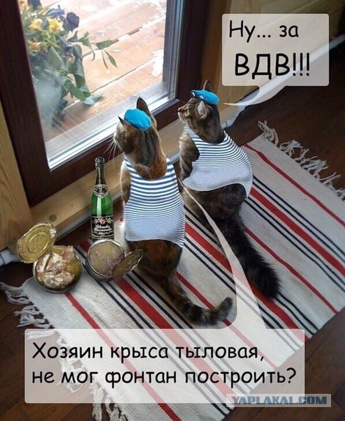 Альтернативный ВДВшник