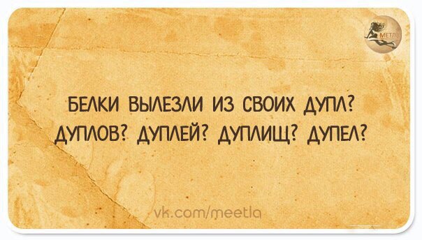 Спрашивайте-отвечаем: 20 убойных ответов на каверзные вопросы