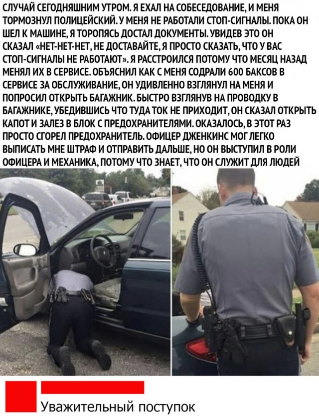 Чуток картинок. 08.10.19