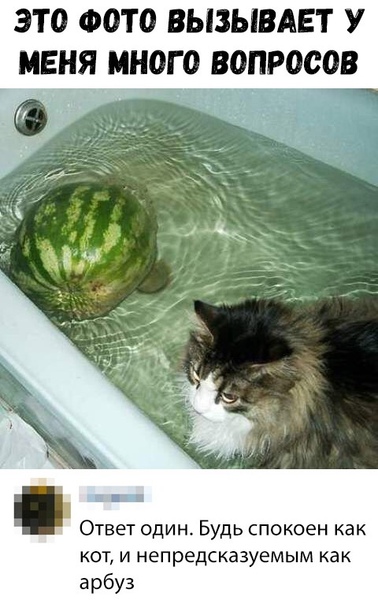 Разные и без темы