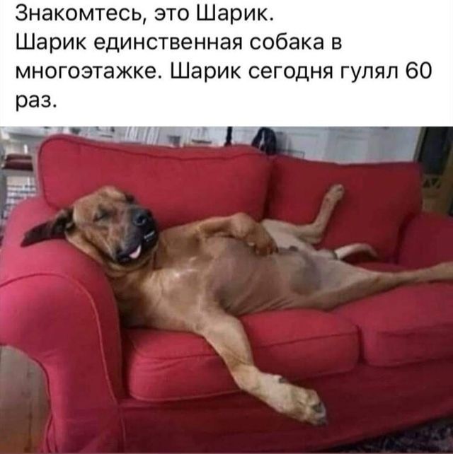 Москва официально находится на самоизоляции. Почти пустая Москва