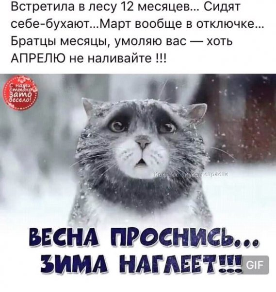 Картинки из рабочего чата 06.04.